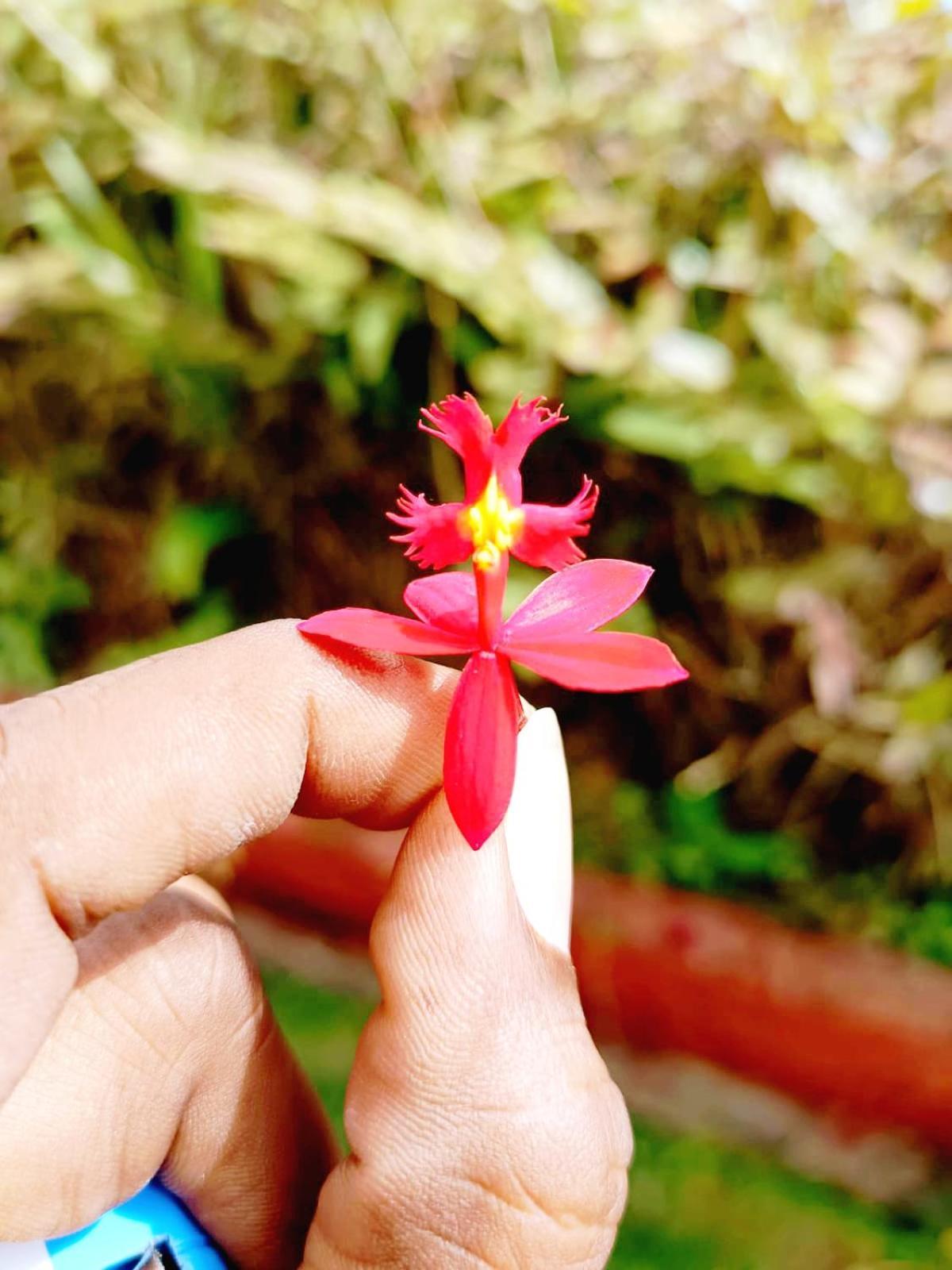 Kodai Riya Paradise Кодайканал Екстериор снимка