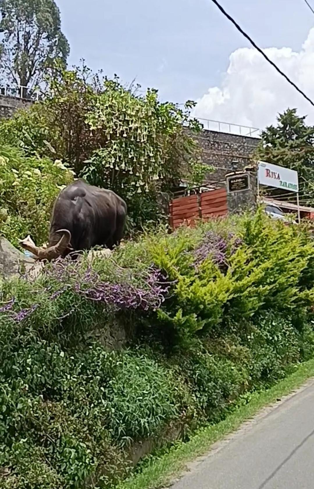Kodai Riya Paradise Кодайканал Екстериор снимка